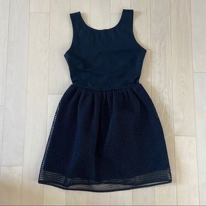 Black Netted Tank Top Dress